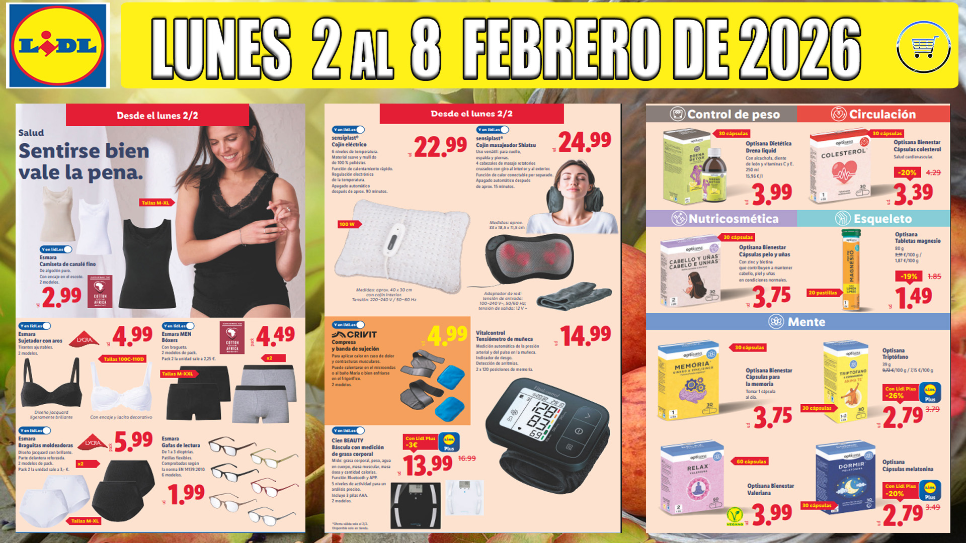 Folleto Bazar LIDL del 2 al 8 de febrero de 2026 Folleto Bazar LIDL del 2 al 8 de febrero de 2026