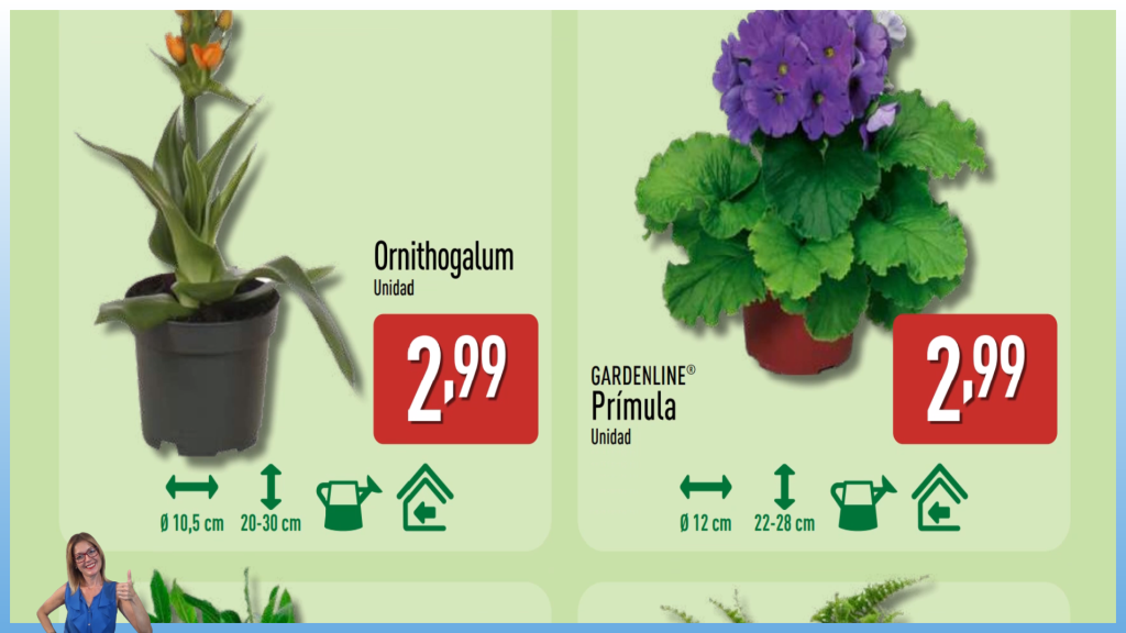 Catálogo ALDI del 2 al 8 de febrero de 2026