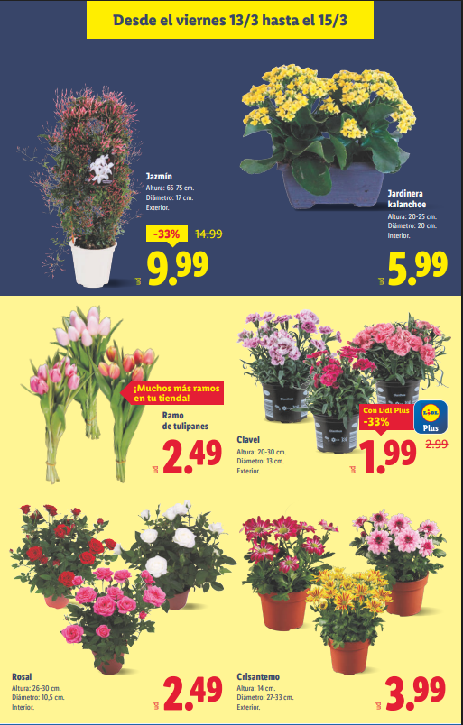 Próximo Catálogo Lidl Alimentación del 9 al 15 de marzo de 2026