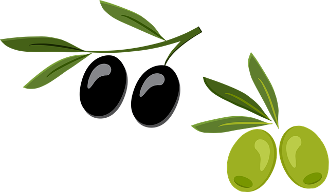 mostafaelturkey36-olive-5116310_640