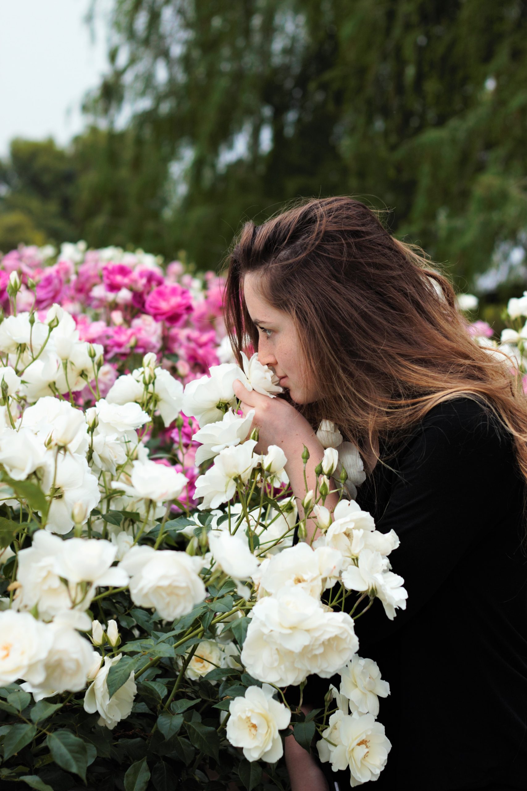 reenablack-sniffing-flowers-1348656