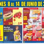 catƔlogo Lidl del 8 al 14 de junio de 2026