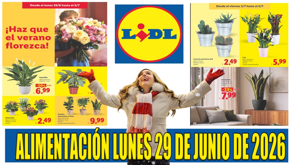 Folleto Lidl Alimentación del 29 de junio al 5 de julio de 2026