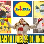Folleto Lidl Alimentación del 29 de junio al 5 de julio de 2026