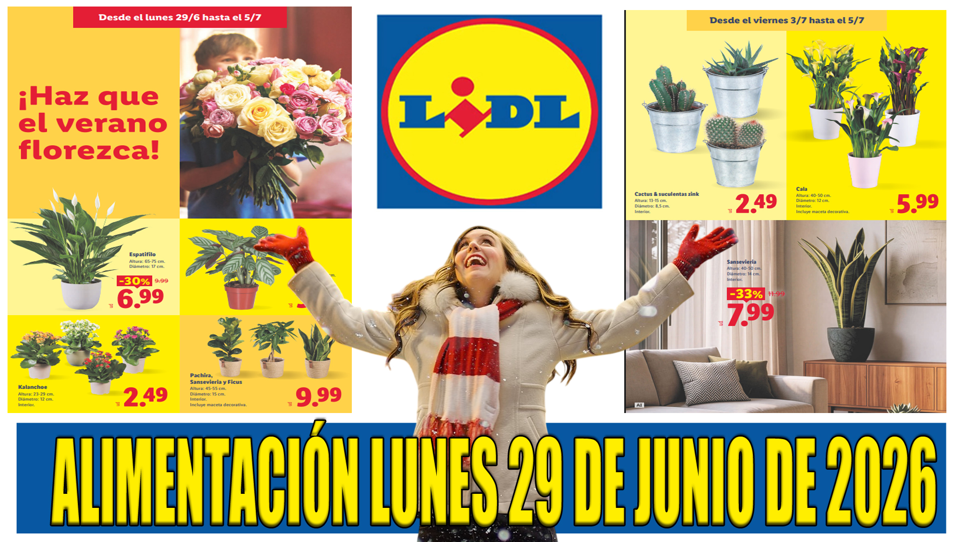 Próximo catálogo LIDL alimentación del 29 de junio al 5 de julio de 2026: ofertas destacadas para ahorrar en tu compra