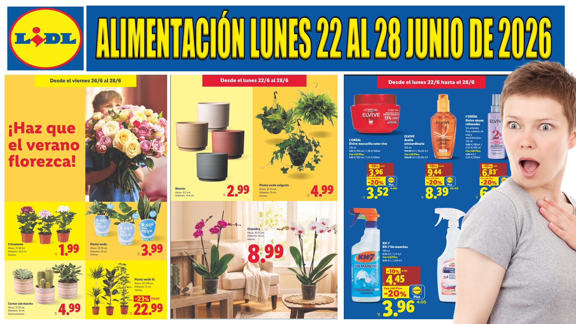 Folleto alimentación LIDL del 22 al 28 de junio de 2026