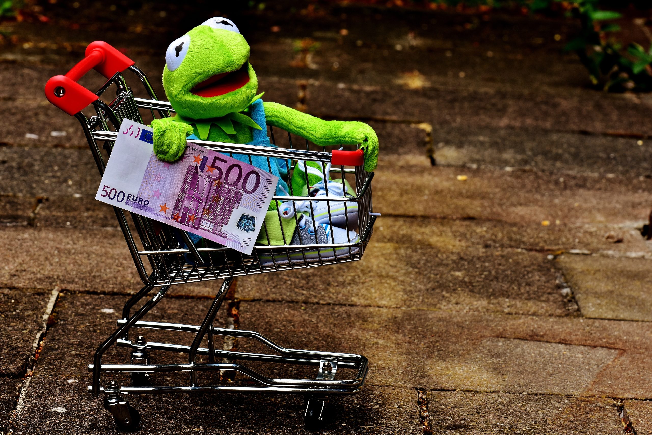 alexas_fotos-kermit-2470675