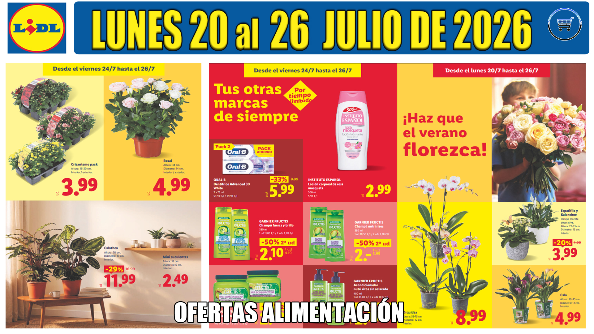ALIMENTACIÓN LIDL 20 DE JULIO DE 2026