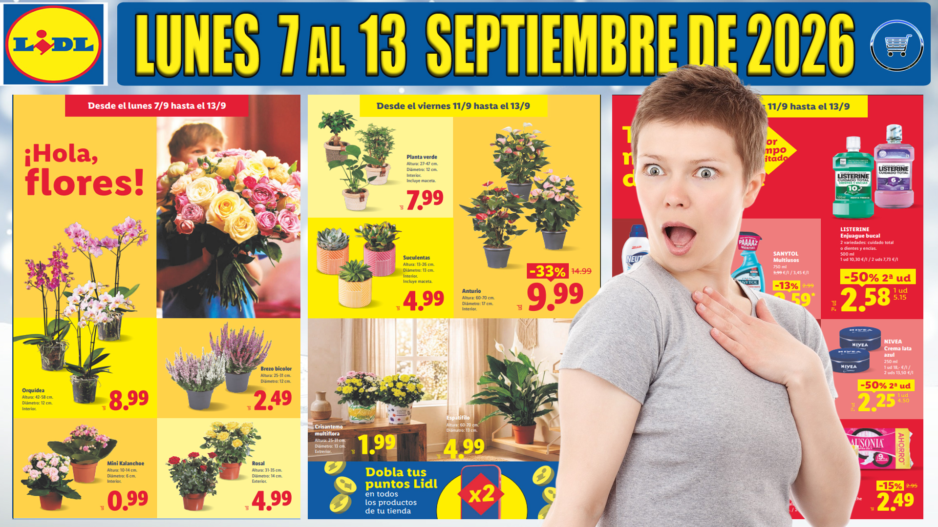 Catálogo LIDL alimentación del 7 de septiembre de 2026