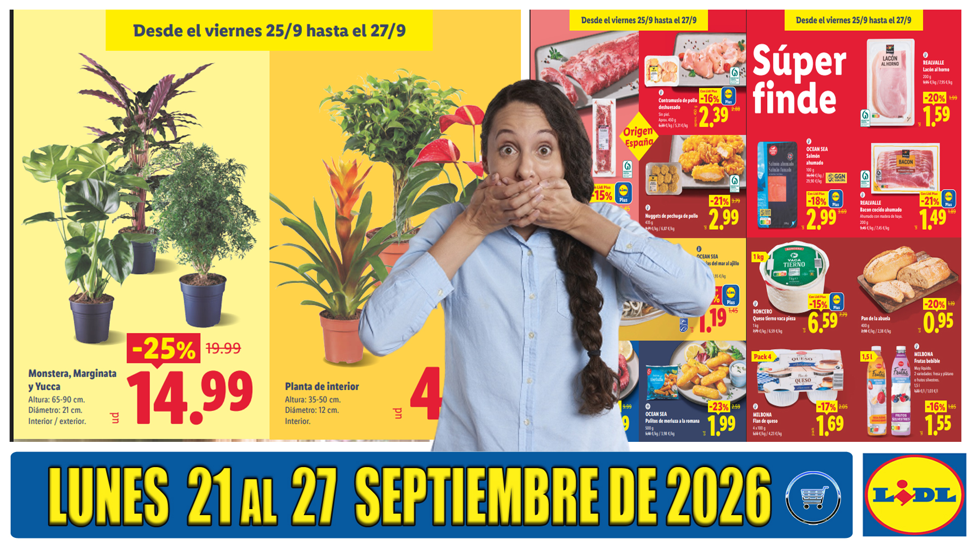 Próximo Folleto Lidl Alimentación del 21 al 27 de septiembre de 2026 Próximo Folleto Lidl Alimentación del 21 al 27 de septiembre de 2026